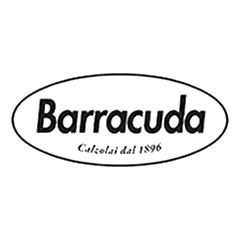 Спортивные футболки для мальчиков Barracuda