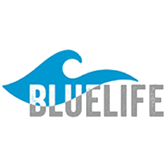 Женские туники Blue Life
