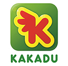 Полуботинки для мальчиков Kakadu